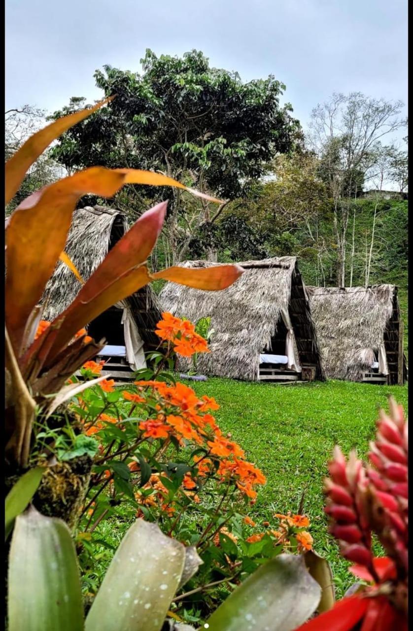 Bed and Breakfast Rancho Porvenir Mocoa Zewnętrze zdjęcie